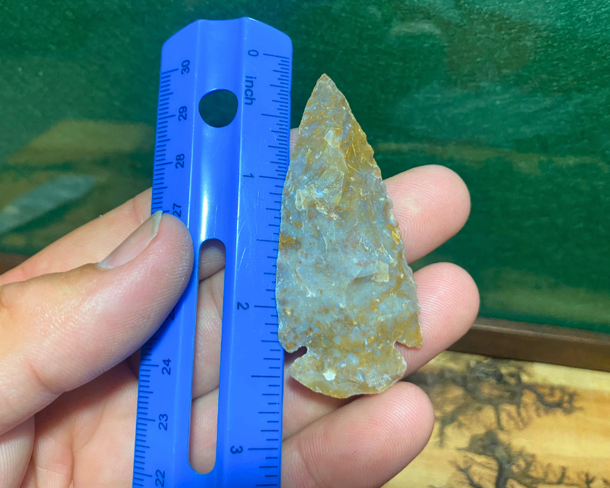 Curated Arrowhead Collection - The Hunter's Pack (8 Piece Display Set)