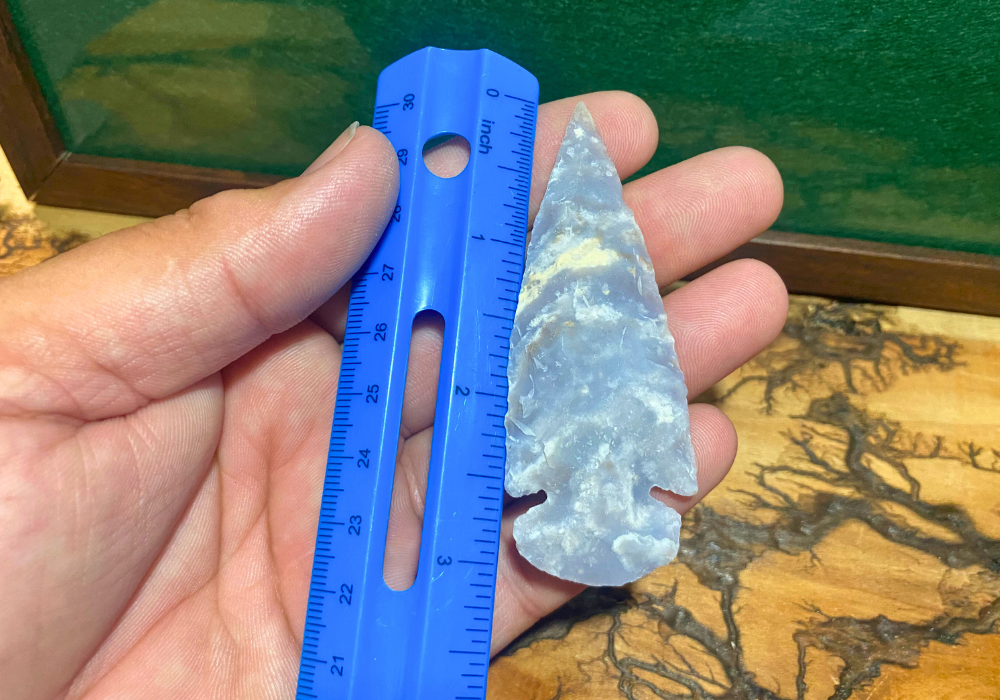 Curated Arrowhead Collection - The Hunter's Pack (8 Piece Display Set)